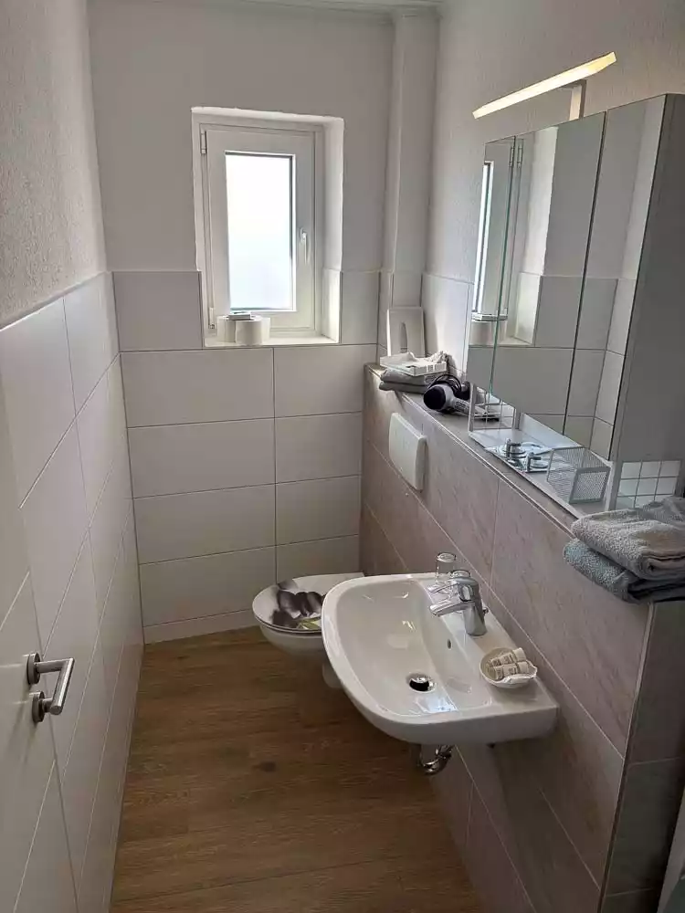 Badezimmer mit WC, Waschbecken und Dusche im 2-Raum Appartement